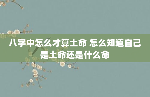 八字中怎么才算土命 怎么知道自己是土命还是什么命