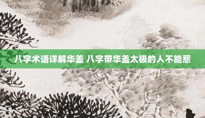 八字术语详解华盖 八字带华盖太极的人不能惹