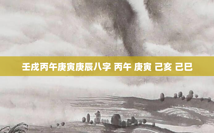 壬戌丙午庚寅庚辰八字 丙午 庚寅 己亥 己巳