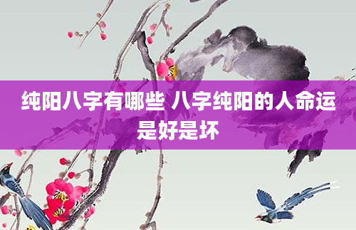 纯阳八字有哪些 八字纯阳的人命运是好是坏