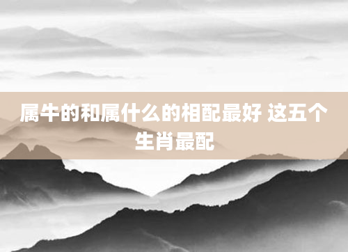 属牛的和属什么的相配最好 这五个生肖最配