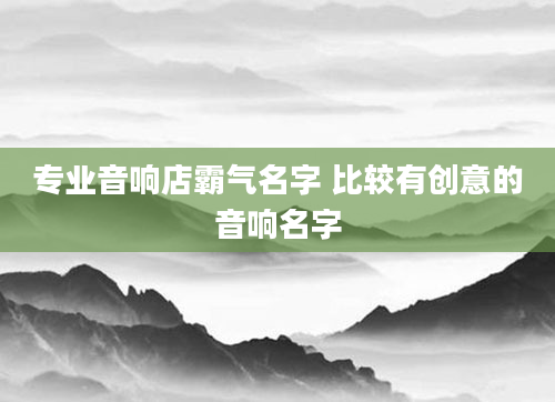 专业音响店霸气名字 比较有创意的音响名字