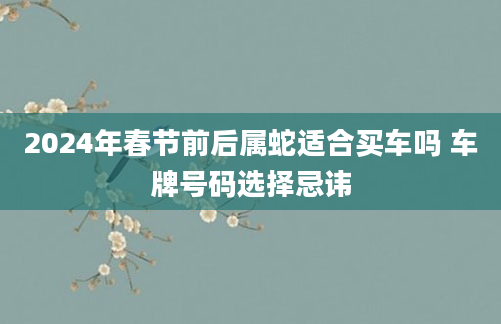 2024年春节前后属蛇适合买车吗 车牌号码选择忌讳
