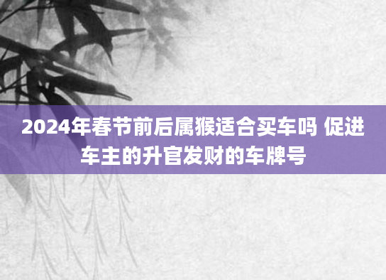 2024年春节前后属猴适合买车吗 促进车主的升官发财的车牌号
