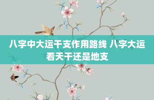 八字中大运干支作用路线 八字大运看天干还是地支