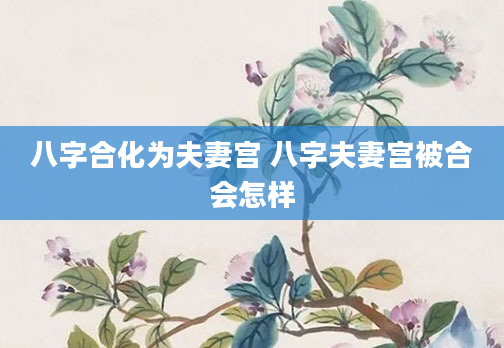 八字合化为夫妻宫 八字夫妻宫被合会怎样