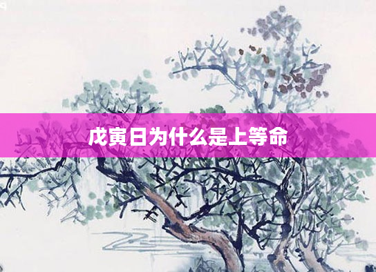 戊寅日为什么是上等命