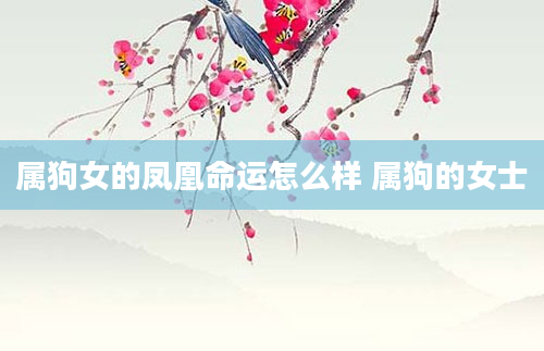 属狗女的凤凰命运怎么样 属狗的女士
