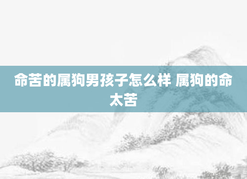 命苦的属狗男孩子怎么样 属狗的命太苦