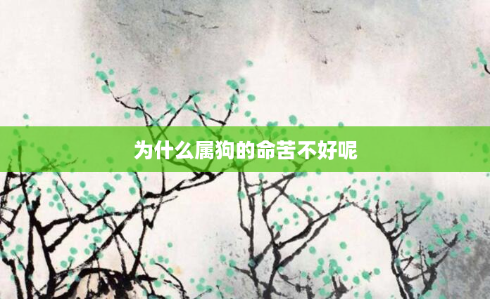为什么属狗的命苦不好呢