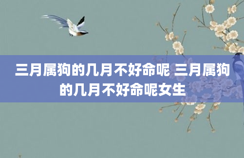 三月属狗的几月不好命呢 三月属狗的几月不好命呢女生
