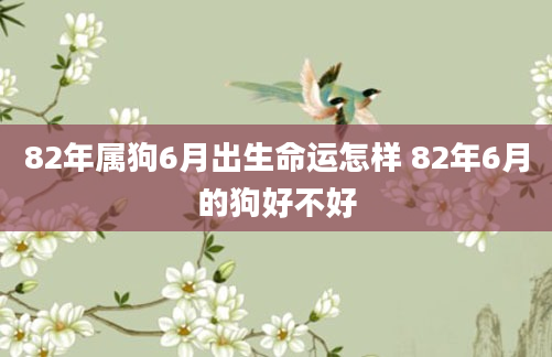 82年属狗6月出生命运怎样 82年6月的狗好不好