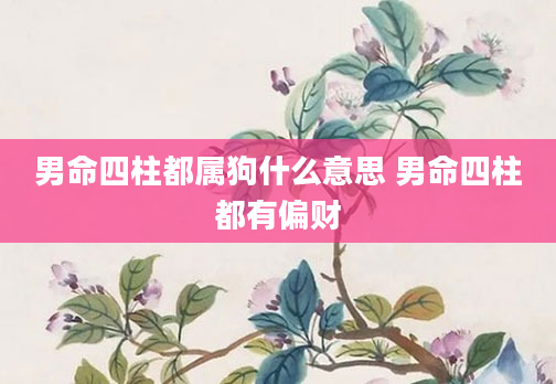 男命四柱都属狗什么意思 男命四柱都有偏财