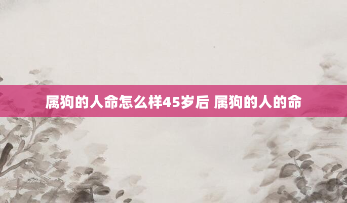 属狗的人命怎么样45岁后 属狗的人的命
