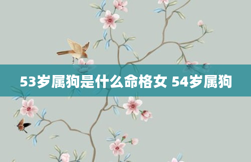 53岁属狗是什么命格女 54岁属狗