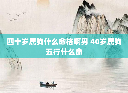 四十岁属狗什么命格啊男 40岁属狗五行什么命