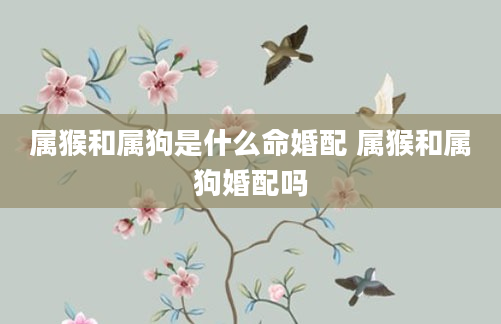 属猴和属狗是什么命婚配 属猴和属狗婚配吗