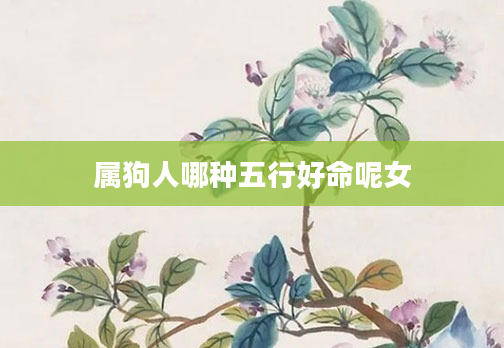 属狗人哪种五行好命呢女