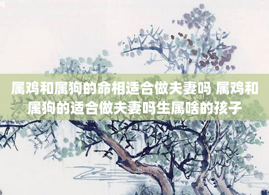 属鸡和属狗的命相适合做夫妻吗 属鸡和属狗的适合做夫妻吗生属啥的孩子