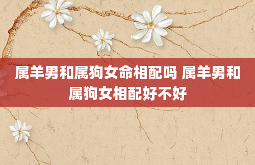 属羊男和属狗女命相配吗 属羊男和属狗女相配好不好