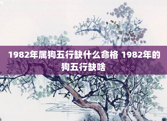 1982年属狗五行缺什么命格 1982年的狗五行缺啥
