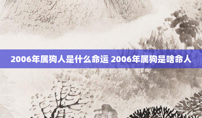 2006年属狗人是什么命运 2006年属狗是啥命人