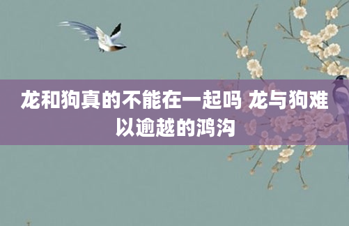 龙和狗真的不能在一起吗 龙与狗难以逾越的鸿沟