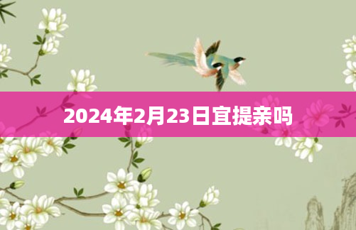 2024年2月23日宜提亲吗