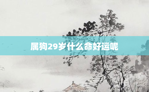 属狗29岁什么命好运呢