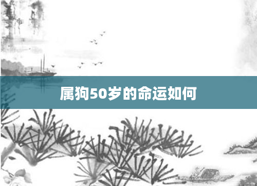 属狗50岁的命运如何