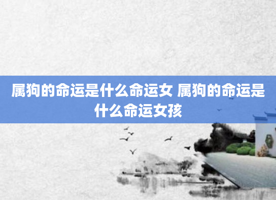 属狗的命运是什么命运女 属狗的命运是什么命运女孩