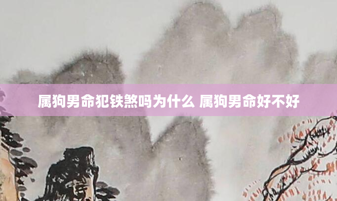 属狗男命犯铁煞吗为什么 属狗男命好不好