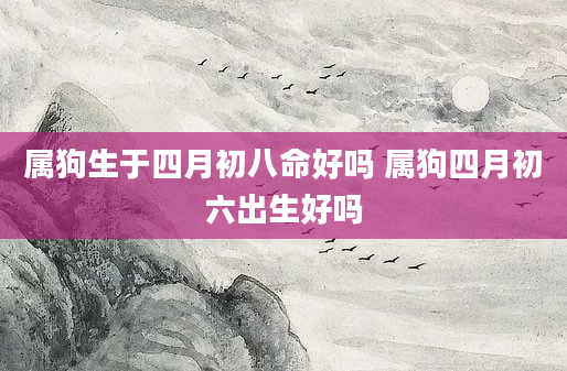 属狗生于四月初八命好吗 属狗四月初六出生好吗