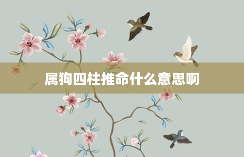 属狗四柱推命什么意思啊