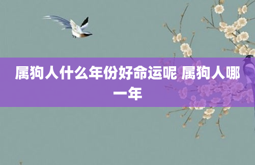 属狗人什么年份好命运呢 属狗人哪一年