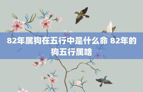 82年属狗在五行中是什么命 82年的狗五行属啥
