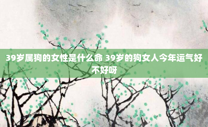 39岁属狗的女性是什么命 39岁的狗女人今年运气好不好呀