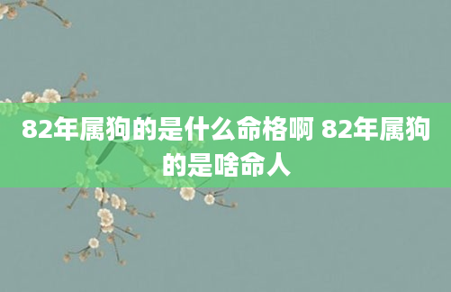 82年属狗的是什么命格啊 82年属狗的是啥命人
