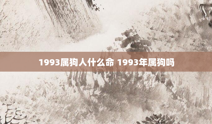 1993属狗人什么命 1993年属狗吗
