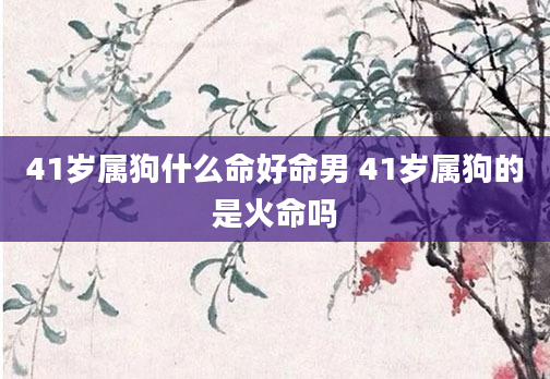 41岁属狗什么命好命男 41岁属狗的是火命吗