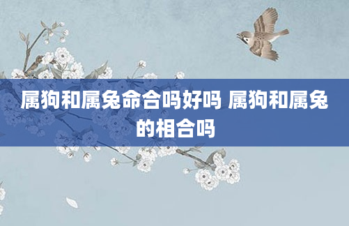 属狗和属兔命合吗好吗 属狗和属兔的相合吗