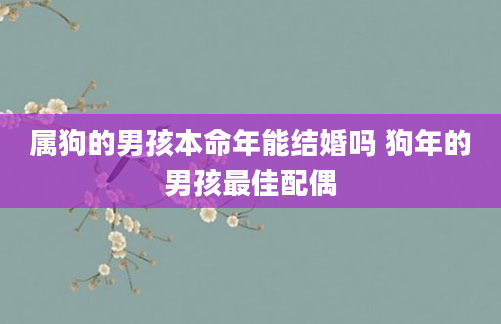 属狗的男孩本命年能结婚吗 狗年的男孩最佳配偶