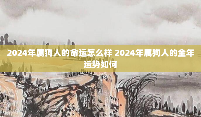 2024年属狗人的命运怎么样 2024年属狗人的全年运势如何