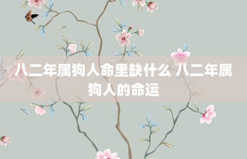 八二年属狗人命里缺什么 八二年属狗人的命运