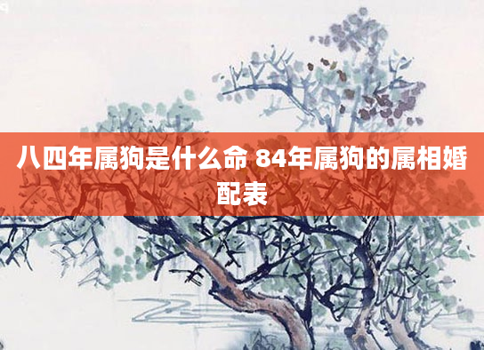 八四年属狗是什么命 84年属狗的属相婚配表
