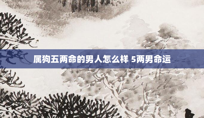 属狗五两命的男人怎么样 5两男命运