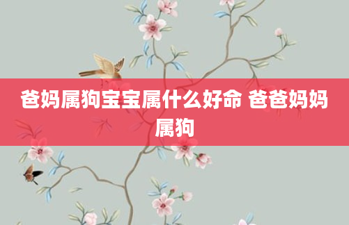 爸妈属狗宝宝属什么好命 爸爸妈妈属狗