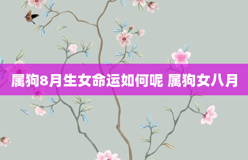 属狗8月生女命运如何呢 属狗女八月