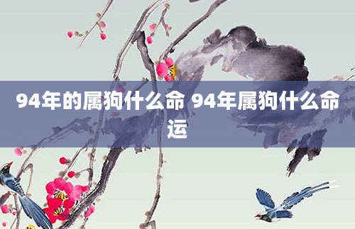 94年的属狗什么命 94年属狗什么命运