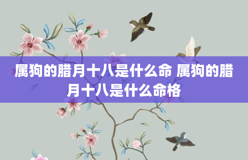 属狗的腊月十八是什么命 属狗的腊月十八是什么命格